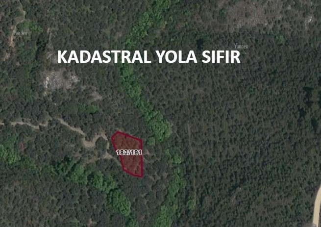 İZMİR BAYINDIR KIZILOBADA  953 M² ZEYTİNLİK SATILIKTIR. - İZMİR BAYINDIR fotoğraf 7